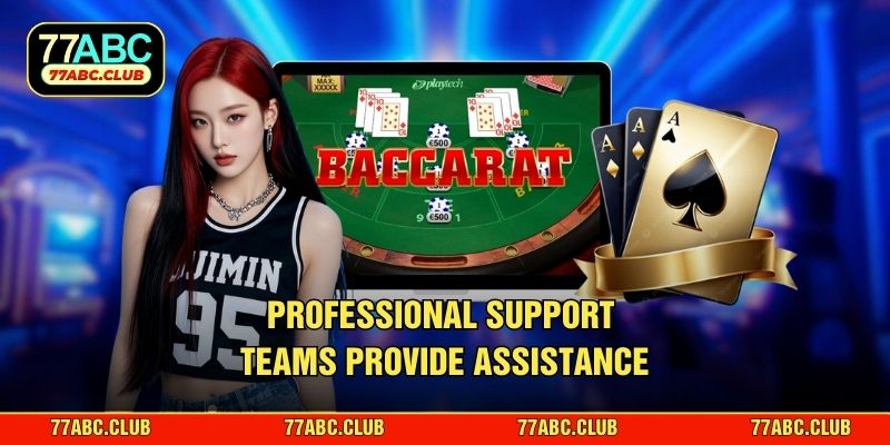 Professional support teams provide assistance