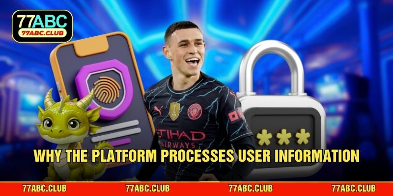Why the platform processes user information