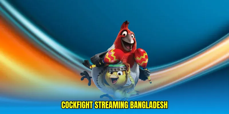 Cockfight streaming Bangladesh