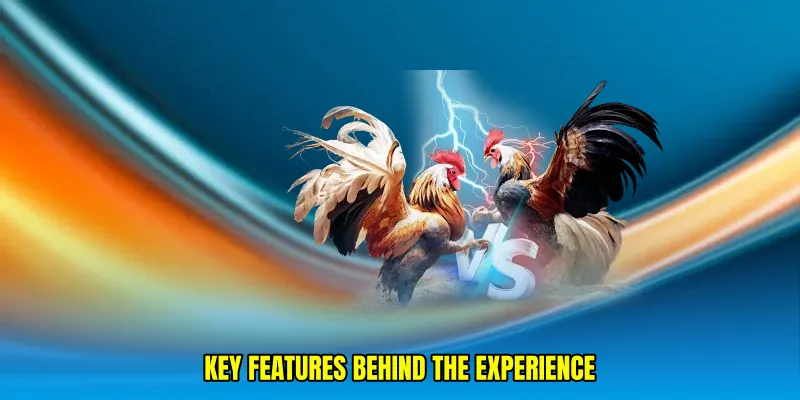 Key Features Behind the Experience