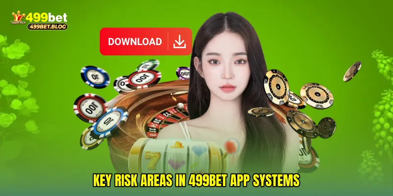 Key Risk Areas in 499Bet App Systems